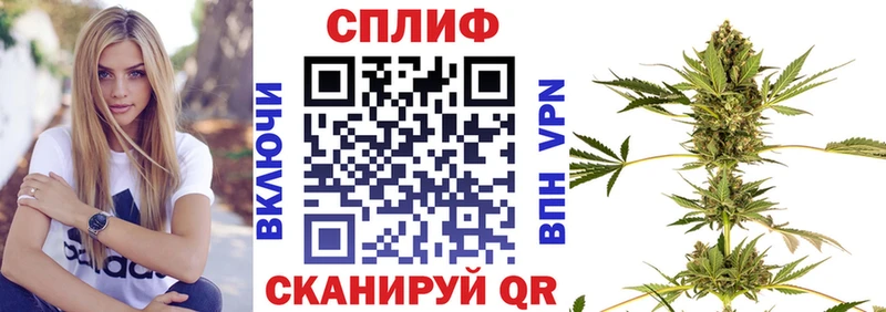 Бошки марихуана марихуана  Купить закладки  Елизово 